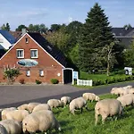 Norderney * Schillig